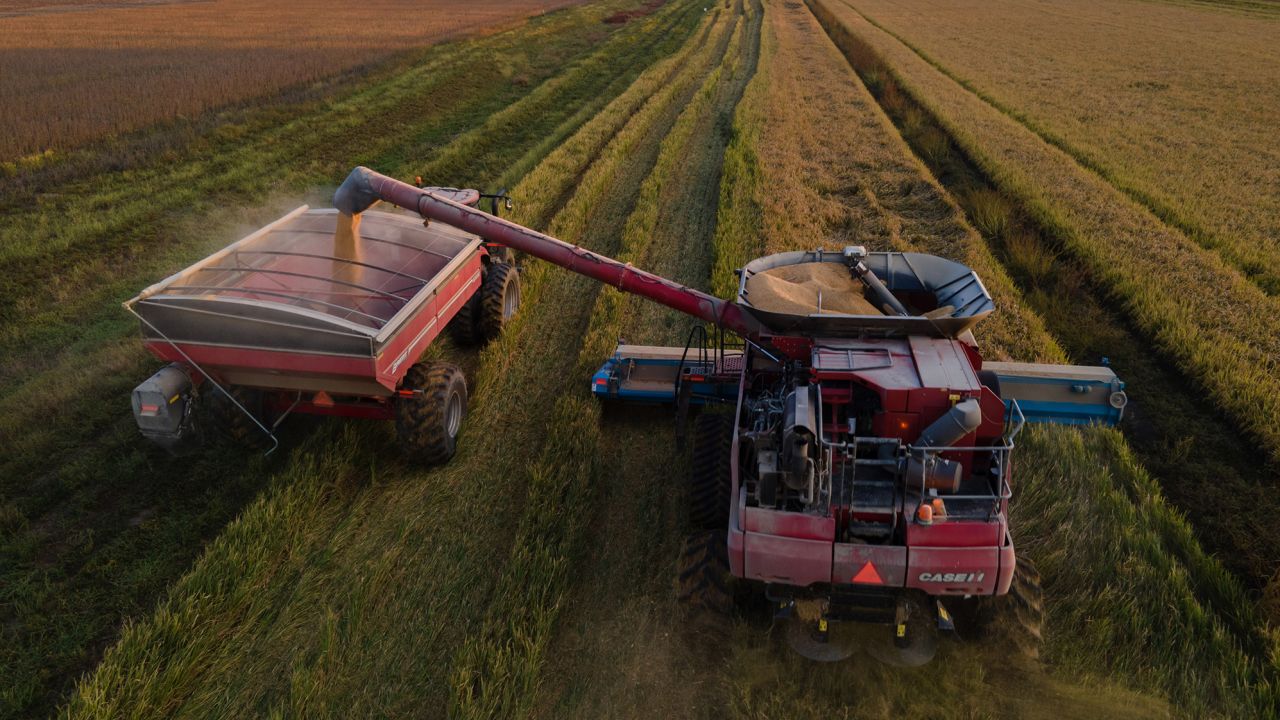 Rice is loaded into a grain cart during a harvest at a farm in Pace, Mississippi.